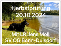 Plakat Herbstpr&uuml;fung 2024